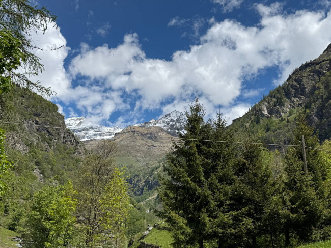 Baita in vendita a Alagna Valsesia