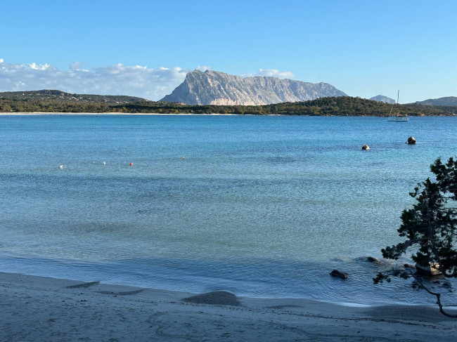 Agenzia immobiliare a San Teodoro