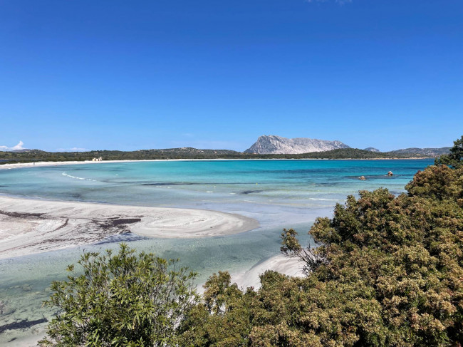 Appartamento in vendita a San Teodoro