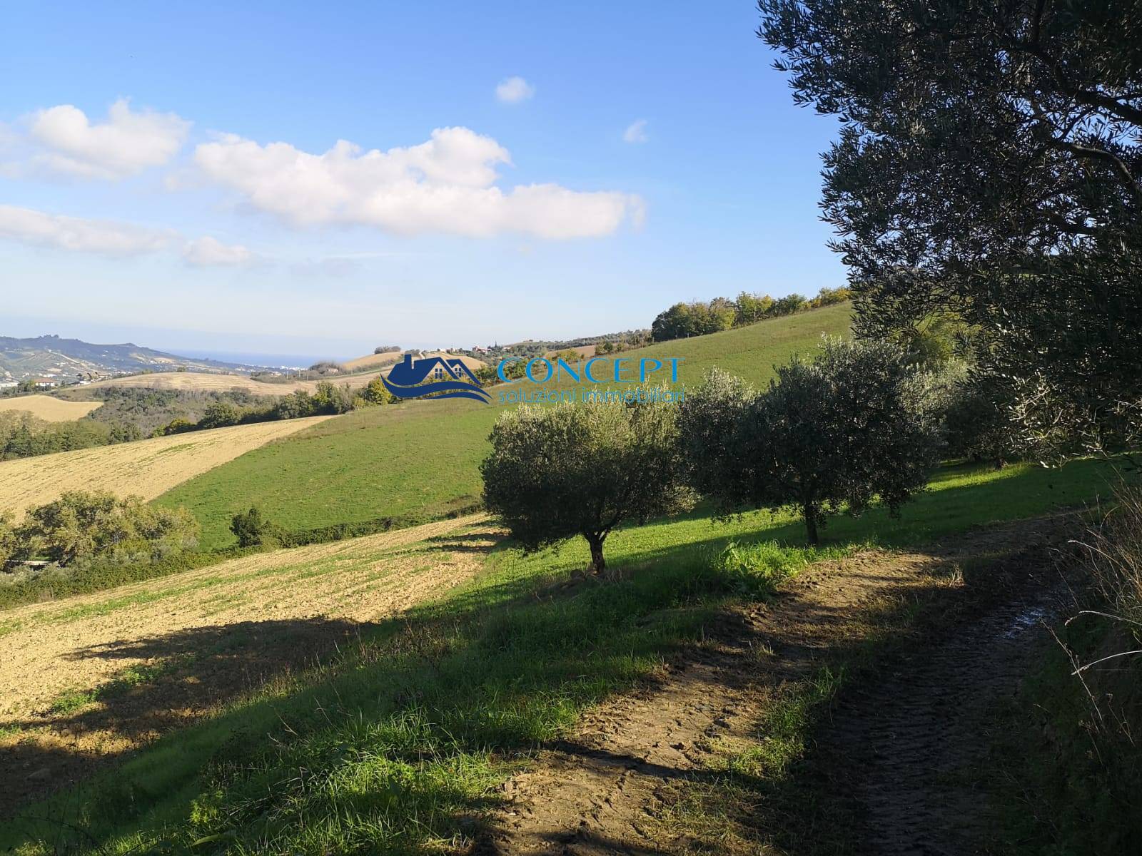 Terreno agricolo in vendita a Colonnella (TE)