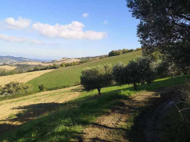 Terreno agricolo in vendita a Colonnella (TE)