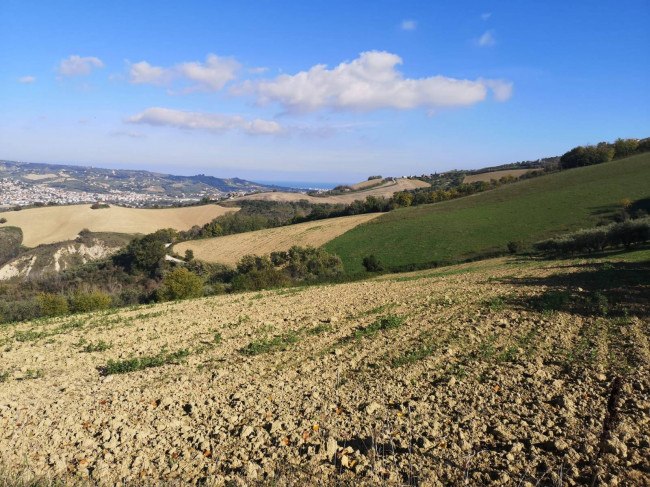 Terreno agricolo in vendita a Colonnella (TE)