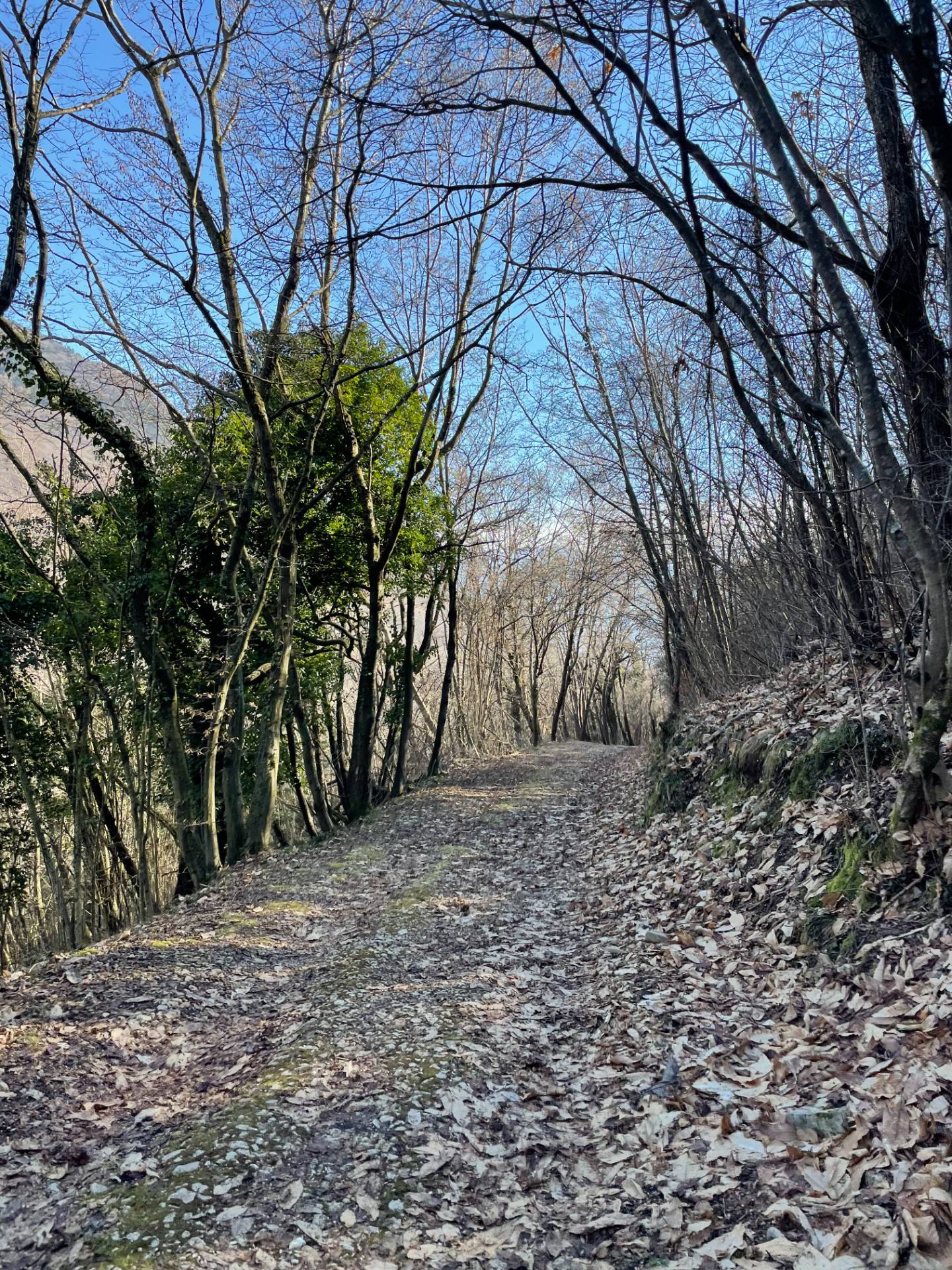 Terreno agricolo in vendita a Caprino Veronese (VR)