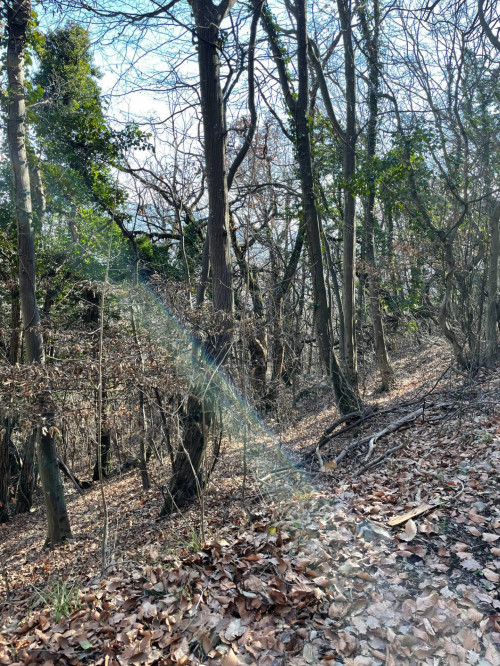 Terreno agricolo in vendita a Caprino Veronese (VR)