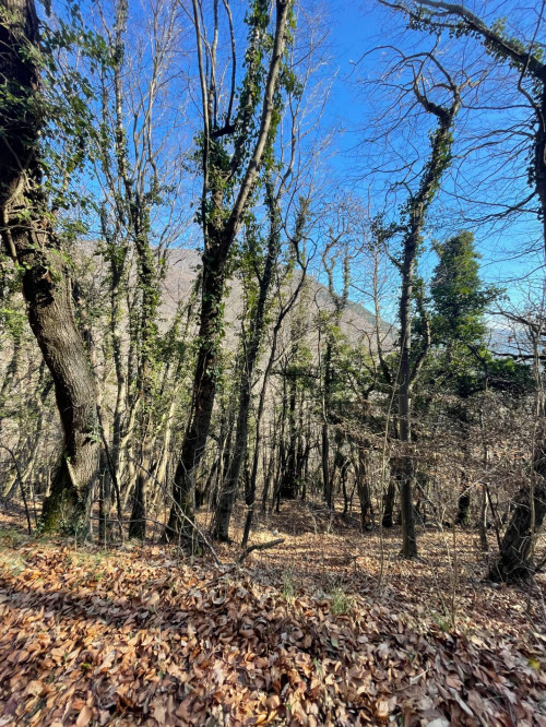 Terreno agricolo in vendita a Caprino Veronese (VR)