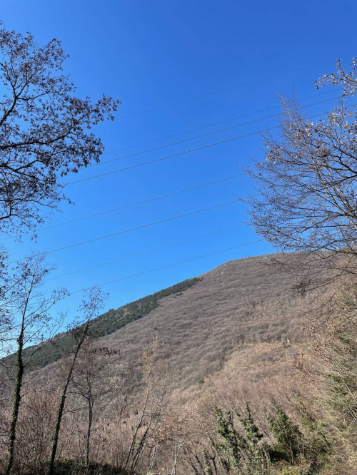 Terreno agricolo in vendita a Caprino Veronese (VR)