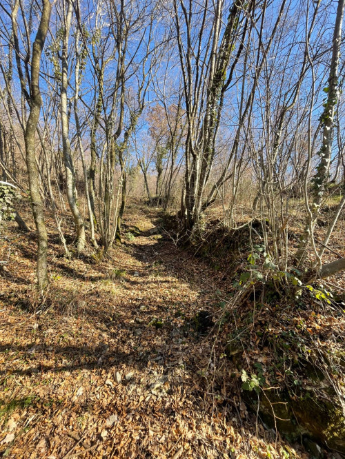 Terreno agricolo in vendita a Caprino Veronese (VR)