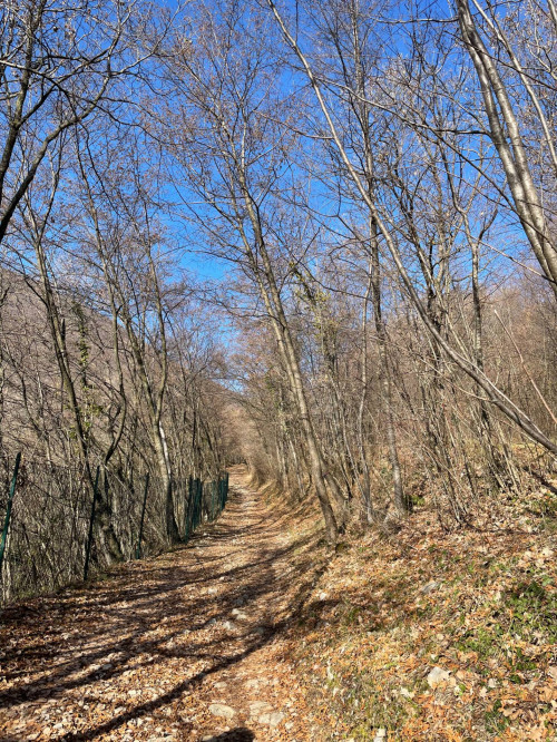 Terreno agricolo in vendita a Caprino Veronese (VR)