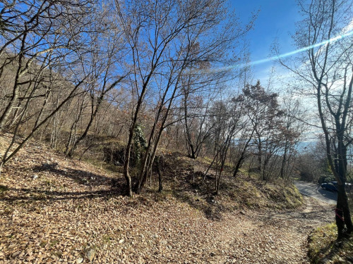 Terreno agricolo in vendita a Caprino Veronese (VR)