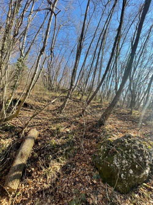 Terreno agricolo in vendita a Caprino Veronese (VR)