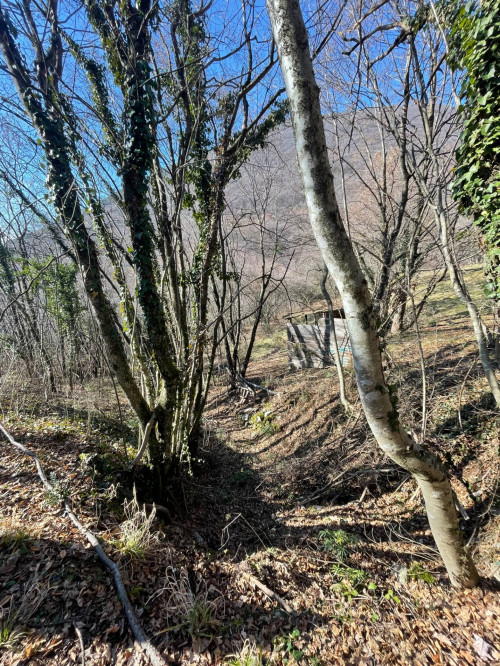 Terreno agricolo in vendita a Caprino Veronese (VR)