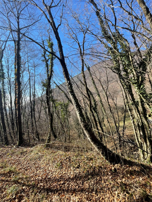 Terreno agricolo in vendita a Caprino Veronese (VR)