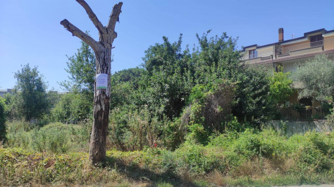 Terreno edificabile in vendita a Caserta