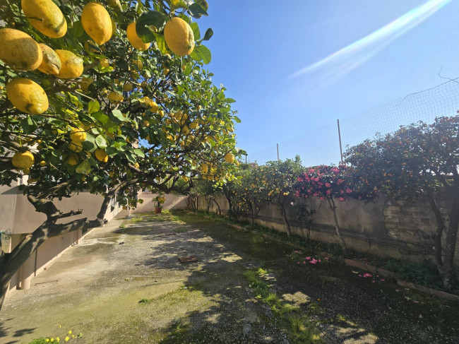 Appartamento in vendita a Sant'Arpino