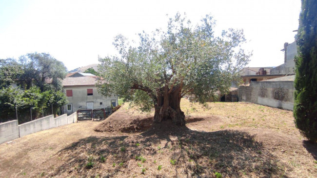 Casa singola in vendita a Castel Morrone