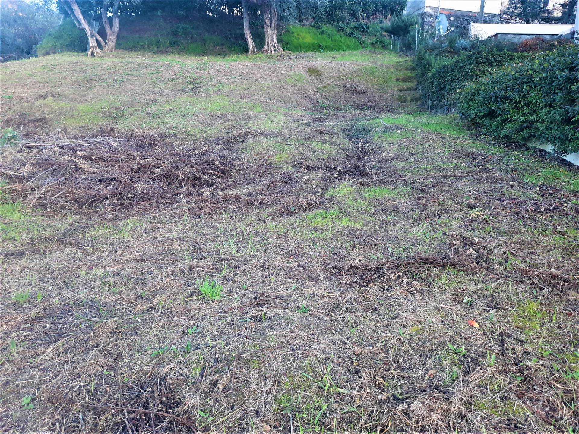 Terreno edificabile in vendita a Lajatico (PI)