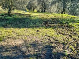 Appartamento in vendita a Montopoli In Val D'arno (PI)