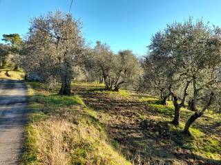 Appartamento in vendita a Montopoli In Val D'arno (PI)
