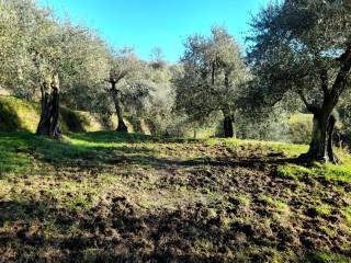 Appartamento in vendita a Montopoli In Val D'arno (PI)