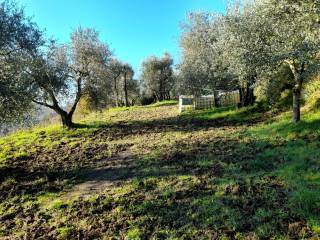 Appartamento in vendita a Montopoli In Val D'arno (PI)