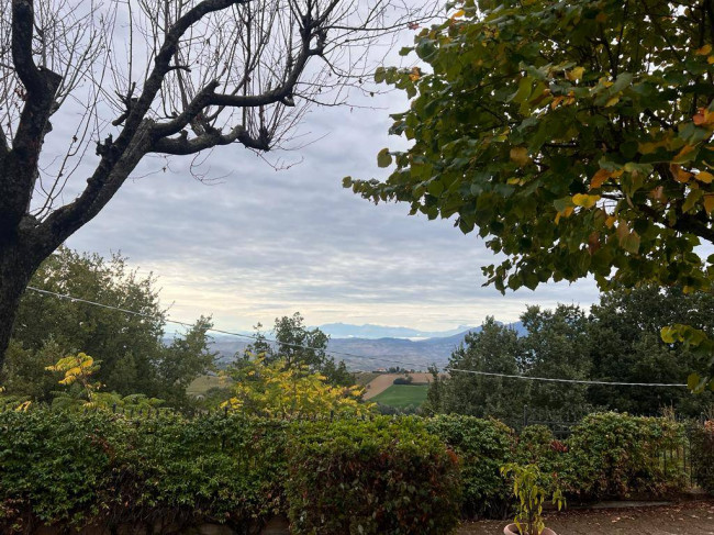 Casa singola in vendita a Offida