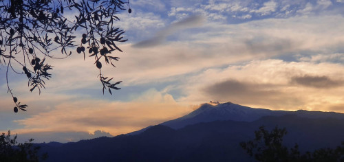 Terreno Agricolo in vendita a Graniti