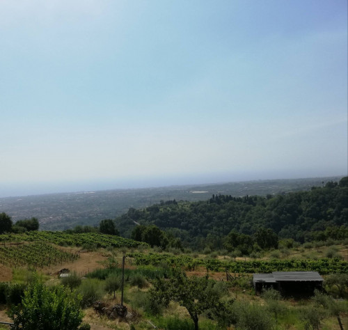 Rustico in vendita a Milo