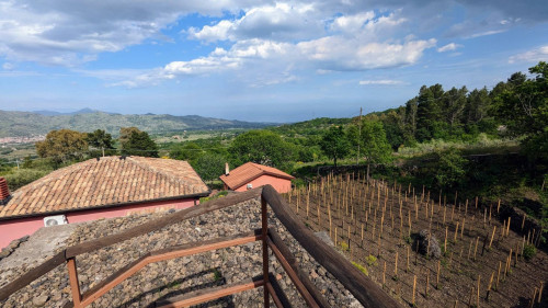 Terreno Agricolo in vendita a Linguaglossa