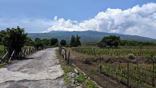 Terreno Agricolo in vendita a Castiglione di Sicilia