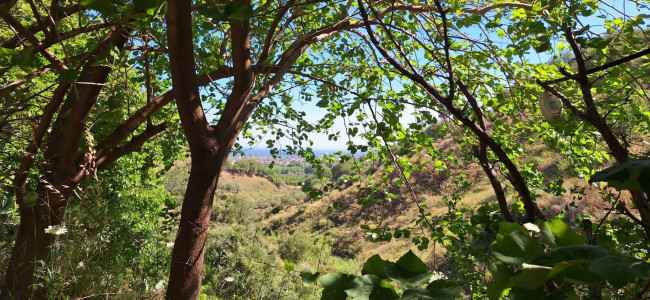 Casa singola in vendita a Taormina