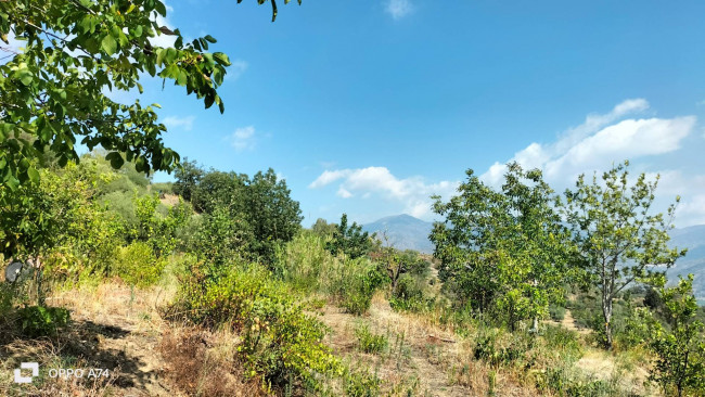 Azienda agrituristica in vendita a Calatabiano (CT)