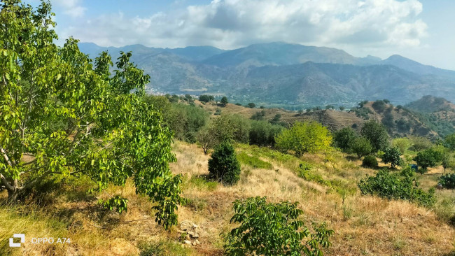 Azienda agrituristica in vendita a Calatabiano (CT)