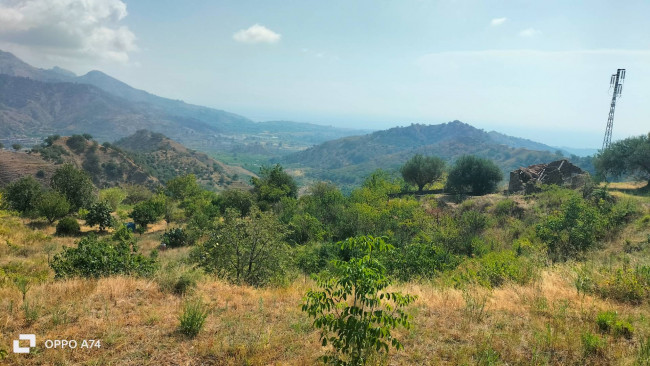 Azienda agrituristica in vendita a Calatabiano (CT)