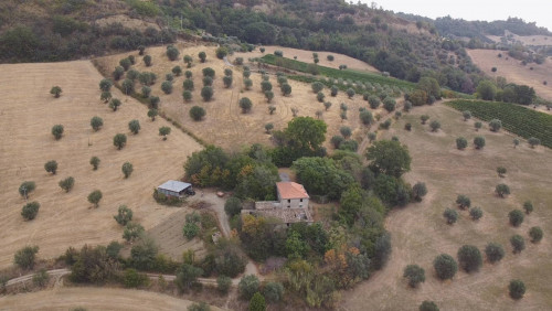 Terreno agricolo in vendita a Massignano (AP)