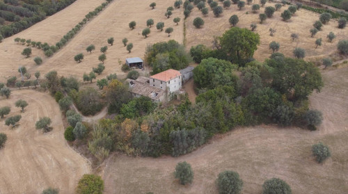 Terreno agricolo in vendita a Massignano (AP)