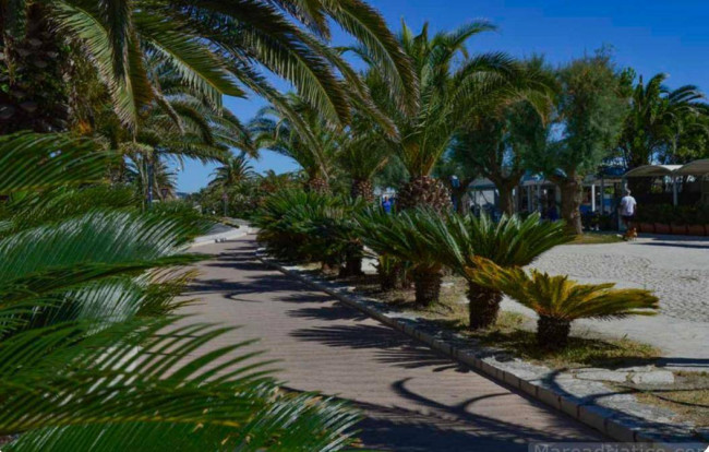 Appartamento in vendita a San Benedetto del Tronto