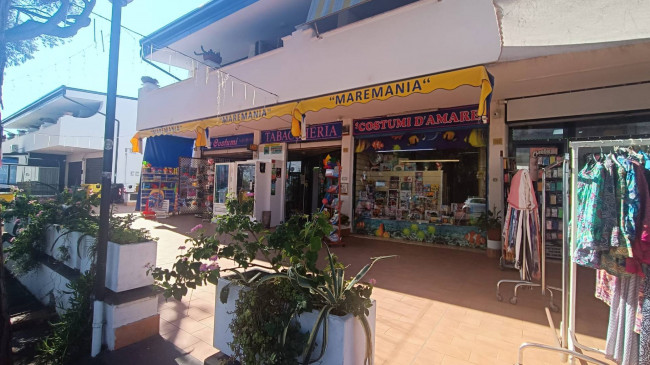 Attività commerciale