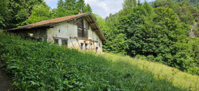Casa singola in vendita a Valdaone