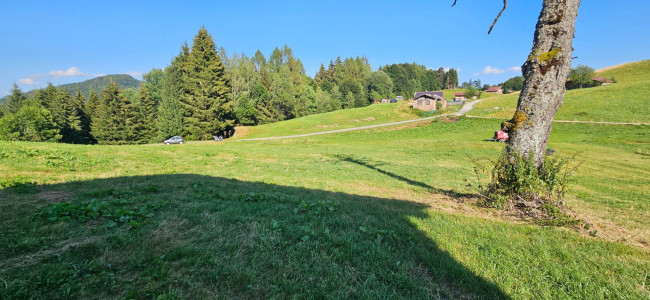 Casa singola in vendita a Castel Condino