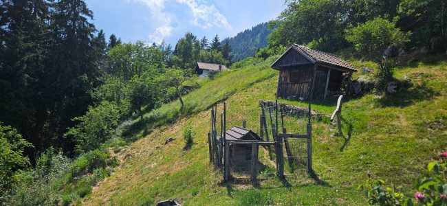 Casa singola in vendita a Storo
