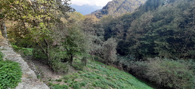 Rustico in vendita a Lavenone