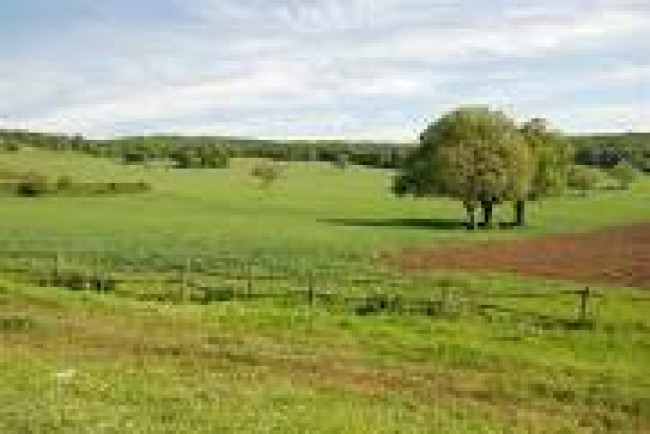 Terreno agricolo in vendita a Riccione (RN)