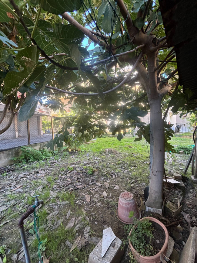 Casa indipendente in vendita a Porto D'ascoli, San Benedetto Del Tronto (AP)