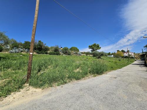 Terreno Agricolo in vendita a Enna