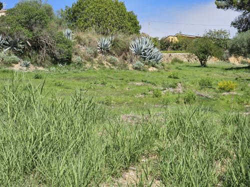 Terreno Agricolo in vendita a Enna