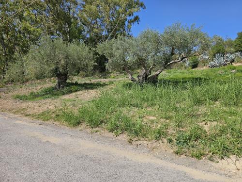 Terreno Agricolo in vendita a Enna