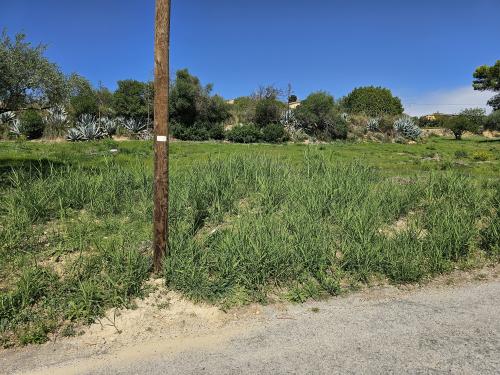 Terreno Agricolo in vendita a Enna