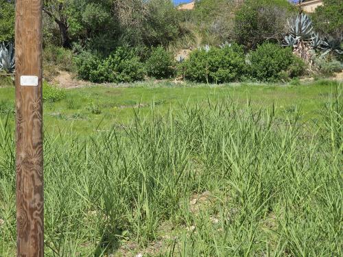 Terreno Agricolo in vendita a Enna