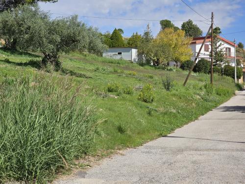 Terreno Agricolo in vendita a Enna