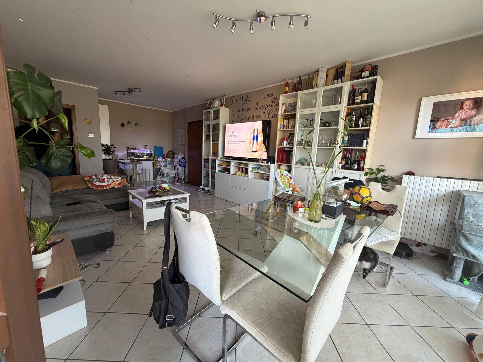 Appartamento in vendita a Castelfranco Emi... - foto 2